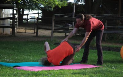 6 Gründe, warum angeleitetes Falltraining im Reiten für dich wichtig ist