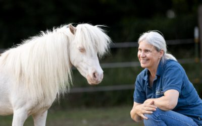 Psychomotorik im Pferdetraining Teil 1: Wenn Bewegung mehr ist als Muskelarbeit