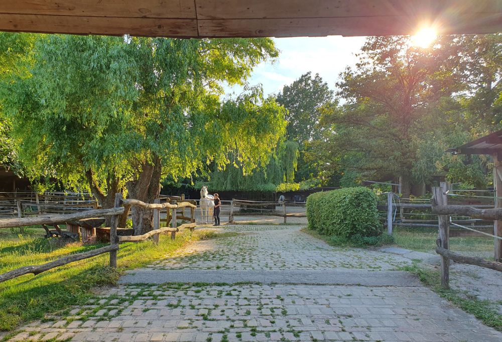Schöner-reiten-Quellberghof-Pferdepension-Trainingsanlage-WeingartenBaden.2 Schöner-reiten-Quellberghof-Pferdepension-Trainingsanlage-WeingartenBaden-1
